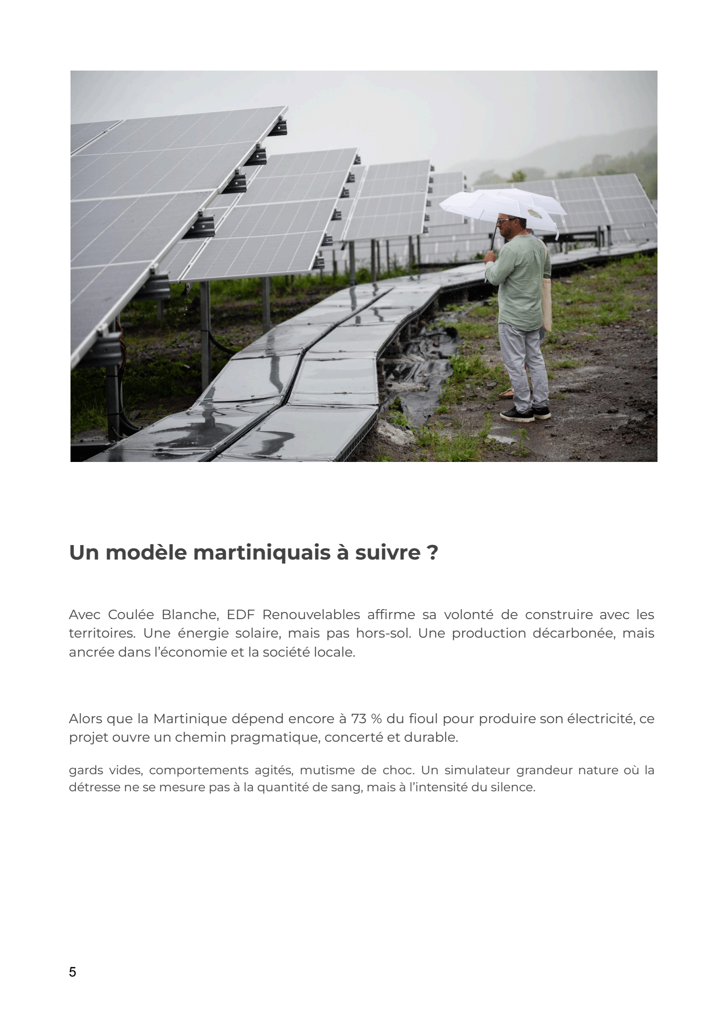 _Article court - Coulée blanche .pdf